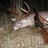 img_1246284018_39
